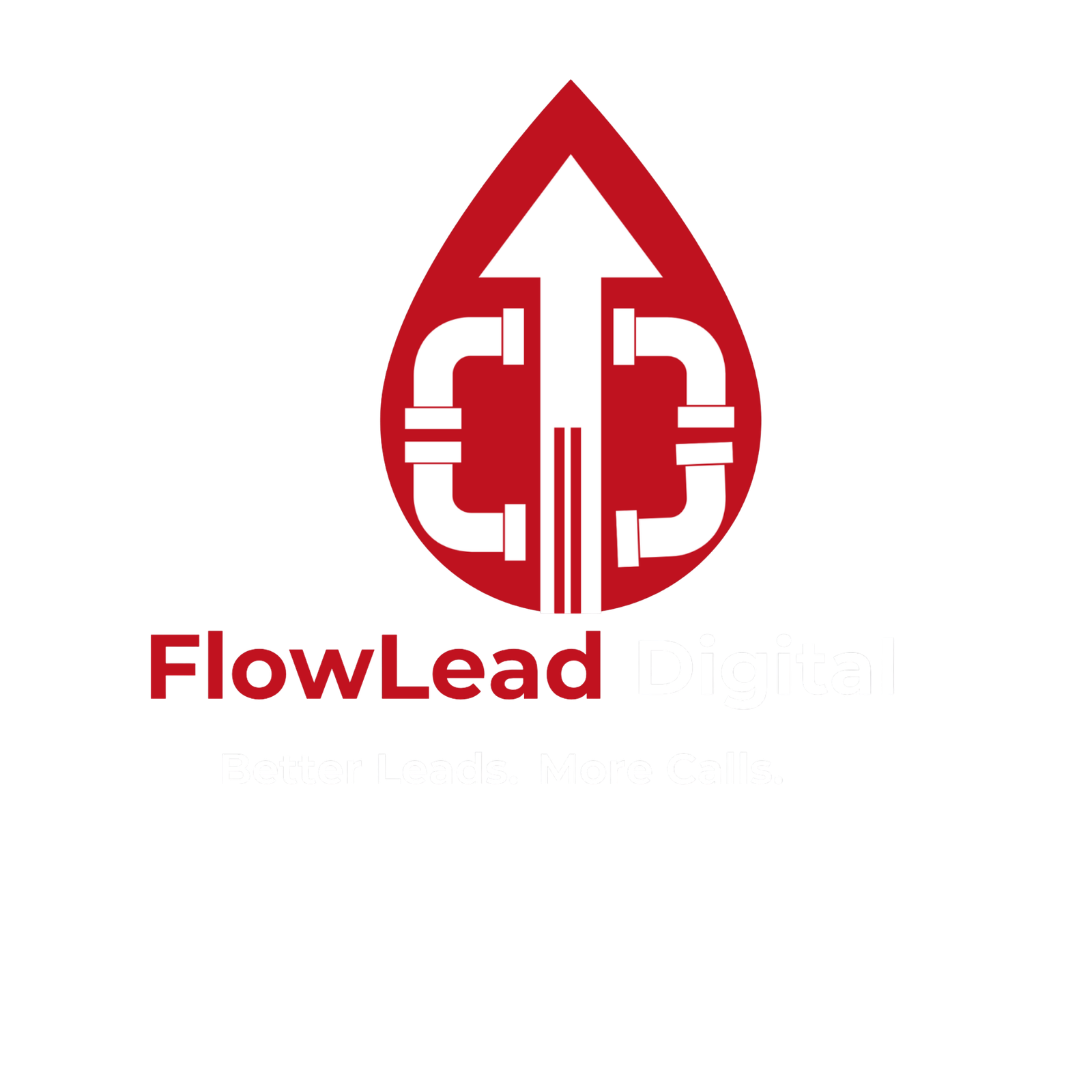 FlowLead Digital Logo