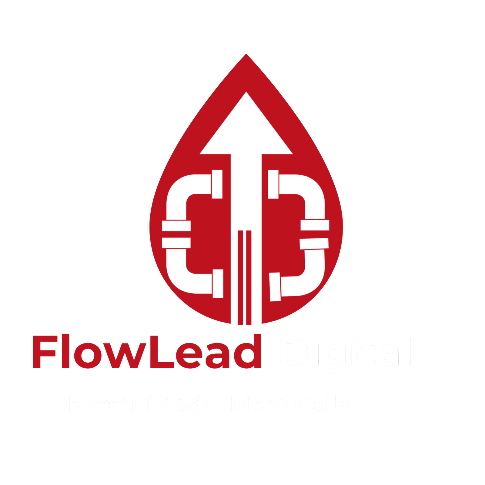 FlowLead Digital