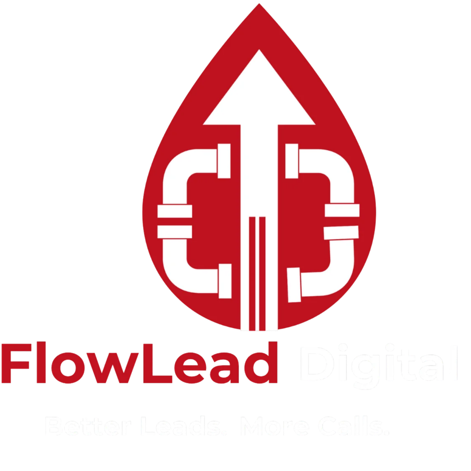 FlowLead Digital